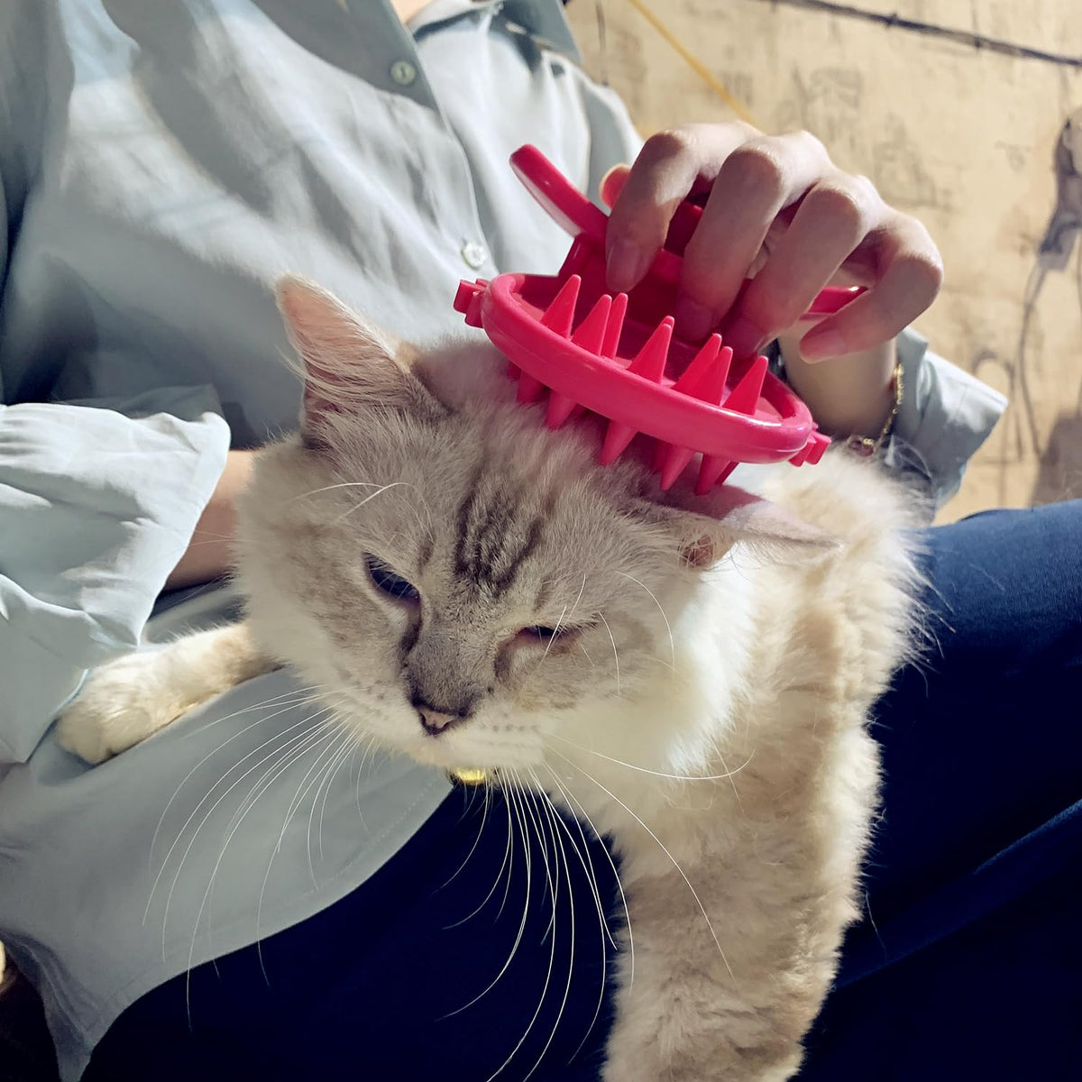 Cat Brush Shedding Grooming, Soft Massage Kitty Tongue Brush, Licking ...